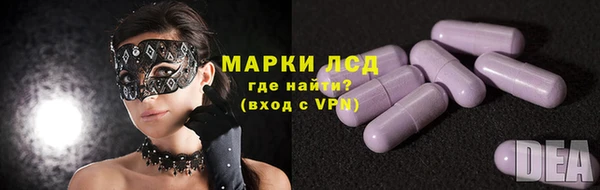гашик Инсар
