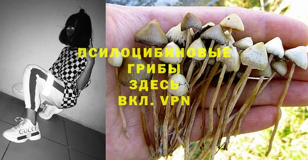 первитин Инта