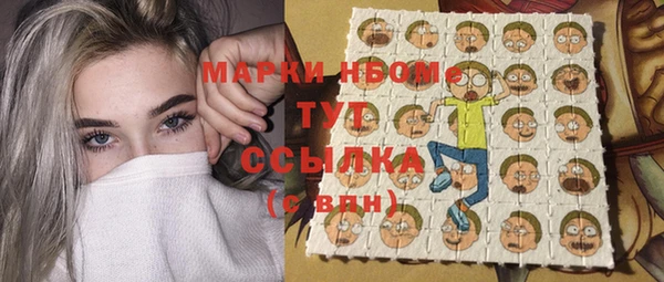 гашик Инсар