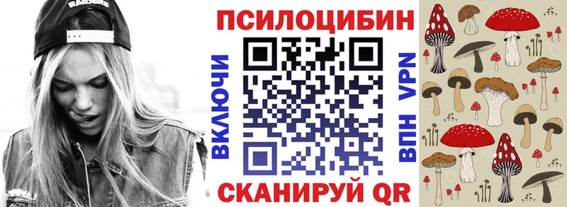 Купить  Грайворон  Галлюциногенные грибы GOLDEN TEACHER 